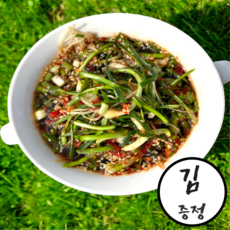 [만족도1위]특급맛집 원조비법 명품 햇 달래장, 1개, 330g