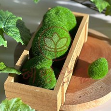 가짜 이끼 돌 세트 10입