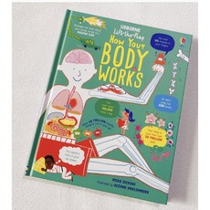 USBORNE Lift-the-flap How Your Body Works 英文科普知識繪本