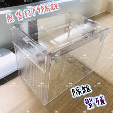 帥哥水族【自浮式養殖箱】隔離盒 繁殖盒 魚傷 打鬥 最佳隔離箱 孔雀盒 鬥魚盒 軟體, 1個, 小號