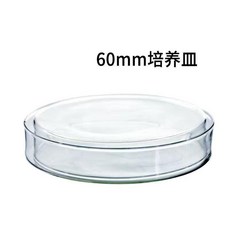 優選 高硼硅透明培養皿玻璃圓形通用防塵帶蓋無菌培養皿 副廠商品, 1個, 培養皿60mm,一隻