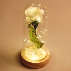 장미무드등 LED 유리돔 무드등 생일선물 프로포즈 잔디밭 신랑신부 건전지포함, 화이트장미, 1개