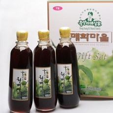 VDG 홍쌍리 청매실선물세트 7호, 1L