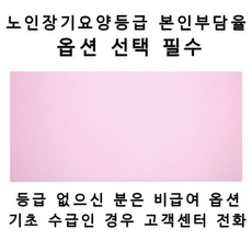 [복지용구 미끄럼방지매트] 야광 실리콘 주방 화장실 앞 현관 침대 발매트 바이오스타 논슬립3, 1개, 노인장기요양등급 구입(본인부담금 9%)