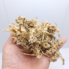 천연 고급 수태 75g 테라리움 만들기 비바리움, 1개