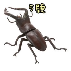 BANDAI 生物大圖鑑 昆蟲篇 01 鍬形蟲 獨角仙, 5.