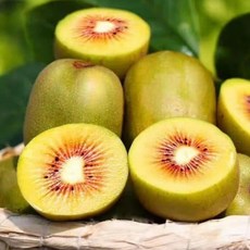 [청과담] 제주도에서 키운 고당도 "레드키위", 1개, 중과 1,5kg