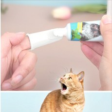 내구성 좋은 반려견 구취 방지 애완동물 손가락 칫솔, 1개, 상세페이지 참조