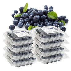 생 블루베리, 8개, 125g