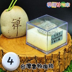 天然 原礦 礦標 - 鈉長石 藍線石 斑點石 拉長石 髓晶洞 藍玉髓 天河石 天青石 蔷薇輝石 藍晶礦, 1個, B4/天青石Celestine中國江蘇