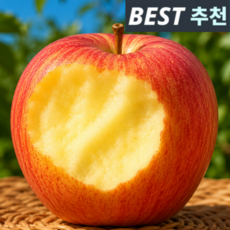 [타임할인] 구매1위 고당도 청송사과 부사 사과, 1박스, 5kg
