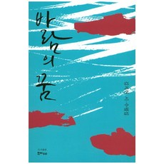 風之夢：金智賢詩與散文集, 韓飛CO, 金智賢