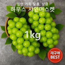 [고당도 아삭한 맛] 신선한 특품/하우스 샤인머스켓, 1박스, 하우스 샤인머스켓 1kg 2수