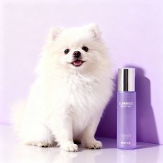 강아지 미스트 향 좋은 실키미스트 엉킴제거 저자극 보습 루미너스 디탱글 미스트, 1개, 150g