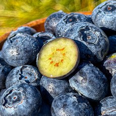 입안 가득 대왕킹 블루베리, 5개, 125g