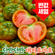 [100박스한정초특가] 대저직송 초고당도brix 짭짤한 대저토마토, 1개, 2.5kg (L)