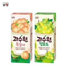 남양 과수원 190ml x 48팩(2box), 1개, 과수원 복숭아24팩+청포도24팩, 48개