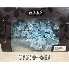 花藝夢*日本大地農園-不凋繡球花-01510金字塔繡球 不凋花 永生花 乾燥花 (以克計價), 621, 藍色