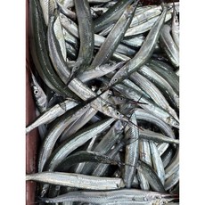 당일조업 통영 자연산 학꽁치회 350g 생물 횟감용, 1개, 학꽁치회350g