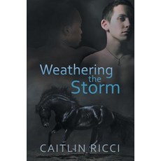 Weathering the Storm Paperback, Harmony Ink Press LLC, English, 9781632169983