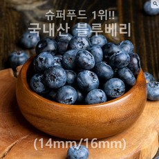 [완전 신선 & 고당도] 국내산 생블루베리 (14mm/16mm 개당 100g) 냉동제품 비교불가!, 1세트, (총200g) 중과14mm(100g x2개)