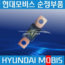 메가트럭 메인 퓨즈 100A 현대모비스 순정 918707C100, 1개