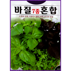 KS종묘 바질 7종 혼합 허브 씨앗 400립 허브믹스 ks