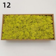 DIY 인공 녹색 식물 영원한 집 거실 정원 미니어처 가짜 잔디 200g, 12)10g, 12