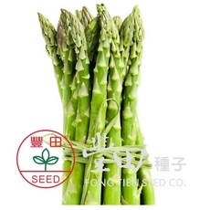 【野菜部屋】I58 阿波羅蘆筍種子 F1品種 中早生 中早生 抗病性高, 1包
