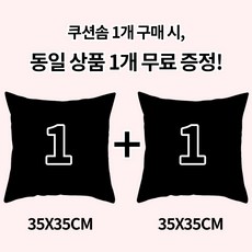 [1+1] 순잠 소파 쿠션 지퍼형 구름 쿠션솜 블랙 35*35 l 40*40 l 45*45 l 50*50 l 55*55 l 60*60, 2개, BLACK