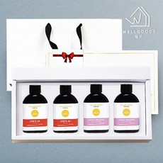 [웰굿]콜드브루 커피 2종 선물세트 4호(케냐2 에티오피아2), 1세트, 100ml