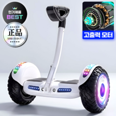모듈보드 고성능 전동휠 대리 호버보드 전동 추천 두발 휠보드 10인치 휴대용 경량, 1) 베이직 8인치, 1개, 화이트