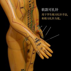 包郵!針灸穴位模型人醫用中醫教學仿真初學者家用十二經絡圖全身小皮人人體模型 教学 模型 穴位 關節骨架 模具, 1個, 銅色男-特價版-模糊小字體,硬材質-不可扎針-擺放穩固