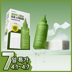 비플레인 2종세트 녹두 모공 스케일링 워터 150ml+화장솜 40매 세트 구매 옵션 - 피지 스케일러 / 피지연화제 피지클리너, 없음, 1, 150ml