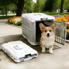 쬬린 접이식 반려동물 이동장, 그레이, 1개