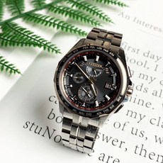 CITIZEN 星辰 AT9095-68E Brave Blossoms系列 五局電波光動能男錶
