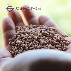 2025년 국산 찰수수 1kg 수수쌀 수수밥, 1개