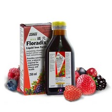 Floradix 鐵元草本滋補液 植物鐵劑 250ml 德國原裝, 1個