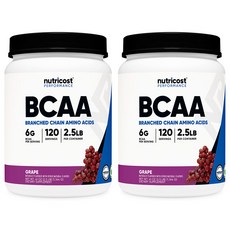BCAA 파우더 120회분 포도맛 2병, 2개