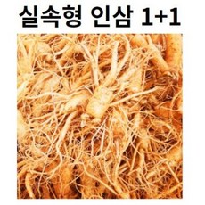 수삼 파삼 막삼 1+1 가정용 인삼 파삼 못생긴인삼 300G, 1개, 1+1 인삼 비세척0)