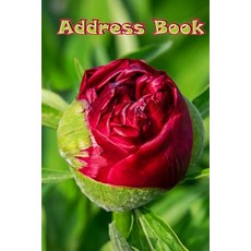 (영문도서) Address Book: Address Book: Modern Rose Floral Design Organizer & Address Book for Phone Numb... Paperback, Createspace Independent Pub..., English, 9781719249775