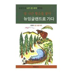 handel 前往新英格蘭尋找離家出走的公牛：金永洙的我所看到的世界 第3集, 金永洙 著
