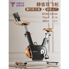 펠튼 실내 운동 자전거 가정용 소형 체중감량, 저소음 듀얼 플라이휠 32단 다크 초콜릿