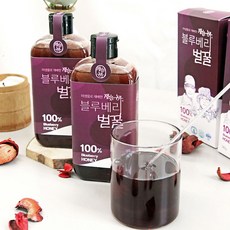 잼있는농부 블루베리벌꿀 /청정지역 정선의 천연벌꿀, 1개, 380g