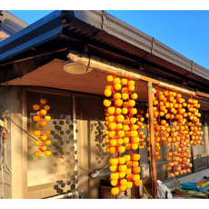 수산농원 곶감 반건시, 1세트