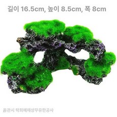 잔디 미니 프라모델 배경 초원 디오라마 식물, 코랄 리프트 스몰, 1개, 기본 색상