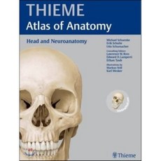 Head and Neuroanatomy, Thieme Medical Publishers