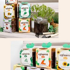 Dailyhome 식물 키우기 키트 홈가드닝 딸기 바질 고수 재배세트, 08미니당근