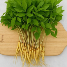 [KB팜] 최첨단 수경재배 새싹인삼 당일수확 당일발송 중 100뿌리, 2g, 100개