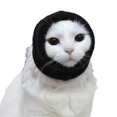 디마펫 코지이어 반려동물 강아지 고양이 진정밴드, 1개, 블랙